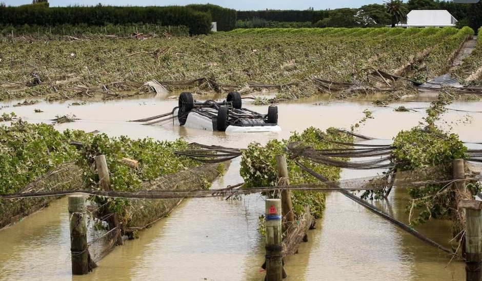 Cyclone Gabrielle: too early to assess impact on food supply