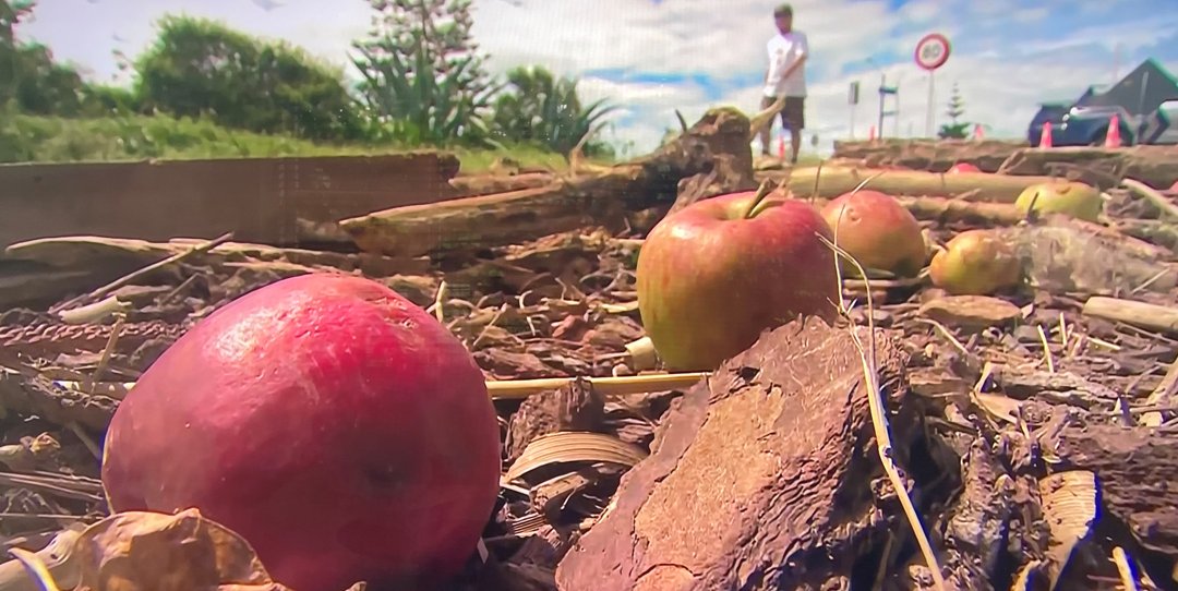 Cyclone Gabrielle: there will be gaps on shelves
